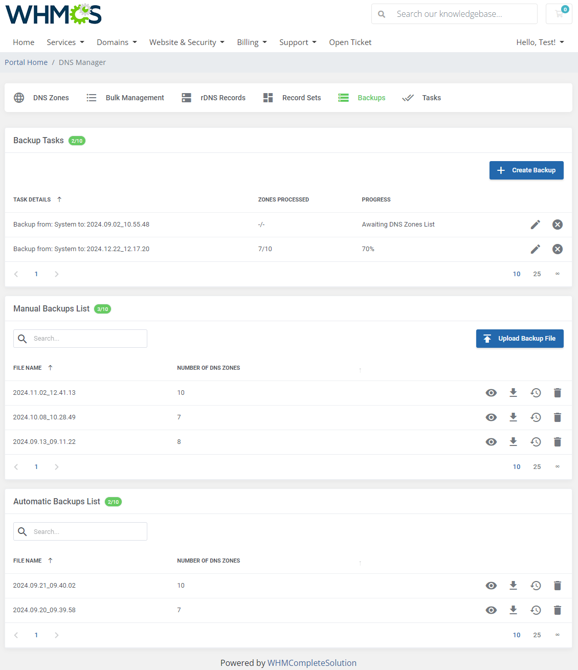 DNS Manager For WHMCS: Module Screenshot 12