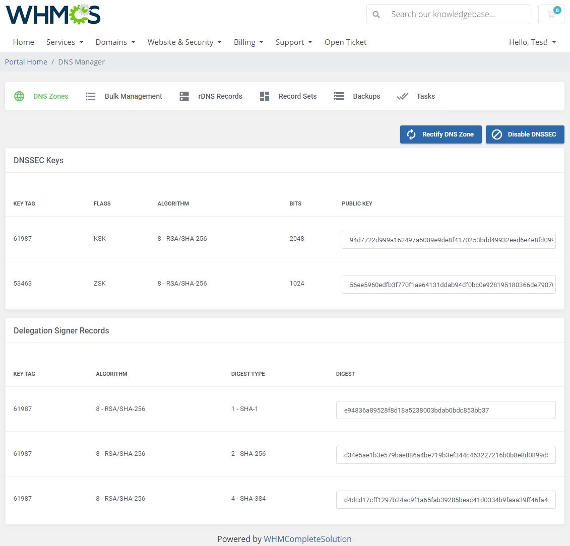 DNS Manager For WHMCS: Module Screenshot 5